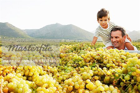 Father and son looking at pile of grapes
