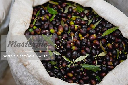 Bag filled with fresh olives