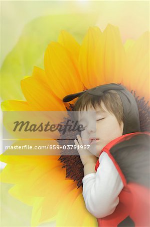 Boy Dressed as Ladybug Sleeping on Sunflower