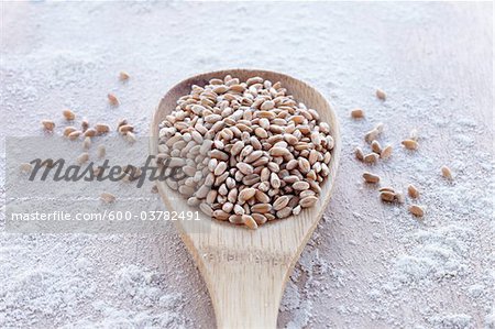 Spoonful of Cereal Grain