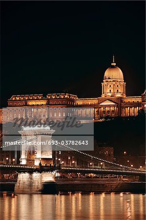 Night cityscape of the St Stephen's Basilica in Budapest,capital of Hungary