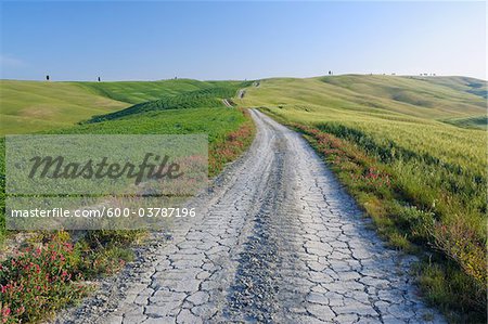 Chemin de terre à travers champs et collines, Val d'Orcia, San Quirico d'Orcia, Province de Sienne, Toscane, Italie