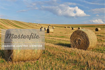 Hay Bales in Field, Reinheim, Hesse, Germany