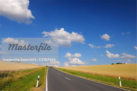 Landstraße und Weizenfelder, Marktheidenfeld, Franken, Bayern, Deutschland