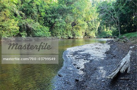 Tahan River, Rainforest, Taman Negara National Park, Pahang, Malaysia