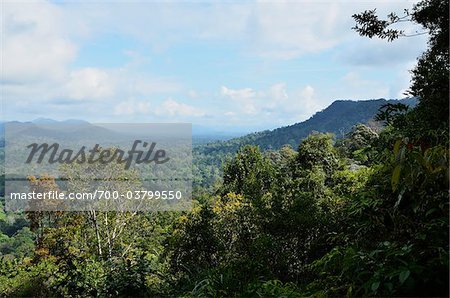 View of Taman Negara National Park from Bukit Teresek, Pahang, Malaysia