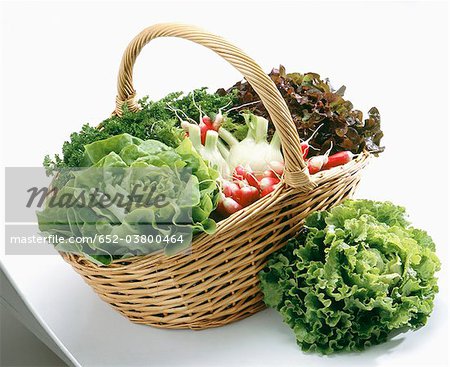 Basket of market vegetables