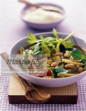 Minestrone Minestrone