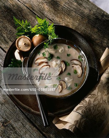 Creme der Pilzsuppe