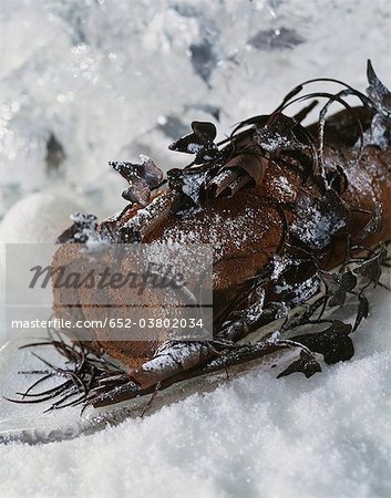 Gâteau au chocolat de journal