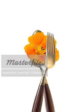 Fork and spoon with orange nasturtium