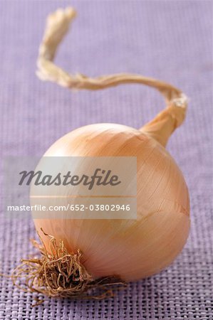 Onion