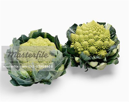 Cauliflower and romanesco cabbage