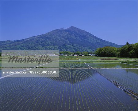 Mt.Tsukuba, Ibaragi, Japan