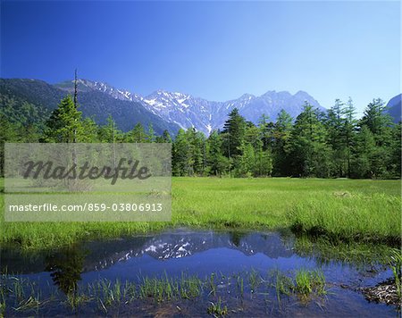 Tashiro Marsh, Nagano, Japon