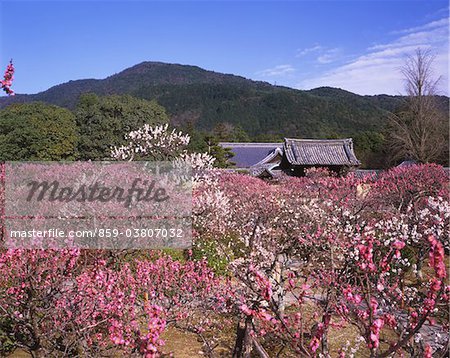 Zuishinin, Kyoto, Japon