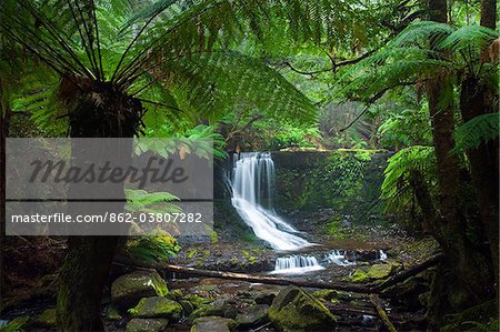 Australia, Tasmania, Mt Field National Park.  Horseshoe Falls.