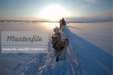 Norway, Finnmark Region. Dog sledding in the Arctic Circle