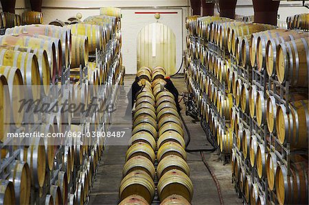 Men checking wine, Boschendal Wine Estate, Franschhoek, Western Cape, South Africa