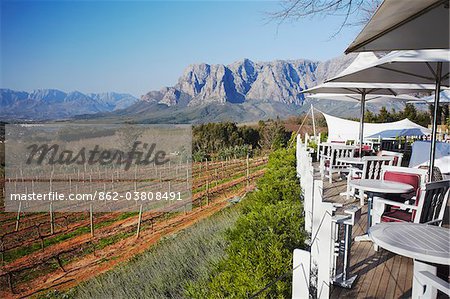 Restaurant overlooking vineyards at Delaire Wine Estate, Stellenbosch, Western Cape, South Africa Restaurant overlooking vineyards at Delaire Wine Estate, Stellenbosch, Western Cape, South Africa