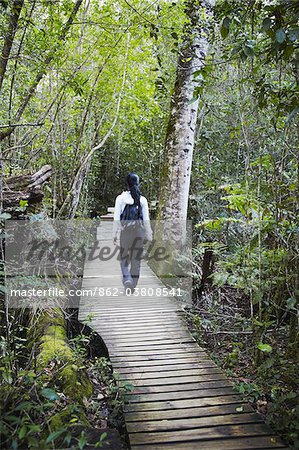 Femme qui marche le long de forest trail, rivière de tempêtes, Eastern Cape, Afrique du Sud
