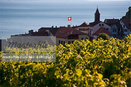 Ansicht des Lavaux und Leman See. Lavaux gehört zum Weltkulturerbe und ist eine Weinproduktion mit Terrassen, die seit der Zeit der Römer gegründet. Genfer See liegt an der Grenze zwischen der Schweiz und Frankreich.
