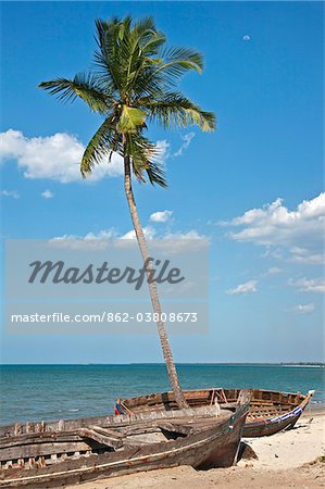 Old wooden boats and a coconut palm at Bagamoyo.