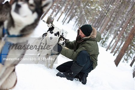 Mann mit Hundeschlitten, Frisco, Summit County, Colorado, USA