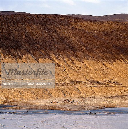 At 509 feet below sea level, Lake Assal is the lowest place in Africa.Thousands of years ago, the lake level was much higher as evidenced by the watermark on the hills. Nomadic Afar tribesmen come here with their camels to collect salt.The salt is sold across the border in Ethiopia.