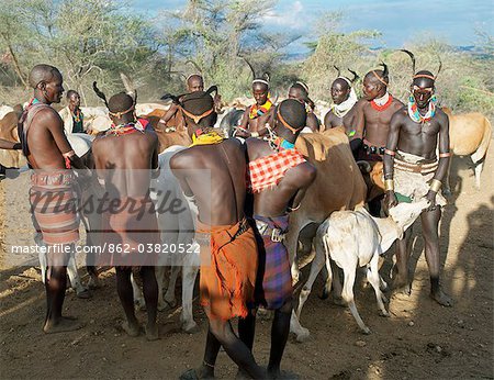Hamar men line up steers at a Jumping of the Bull ceremony.The semi nomadic Hamar of Southwest Ethiopia embrace an age grade system that includes several rites of passage for young men.After the ceremony, the initiate attains full manhood and is permitted to marry