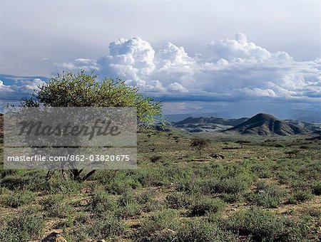 Semi arides thorn scrub meilleur décrit la végétation du Samburuland du Nord, où les bergers nomades semi vivotent d'une terre impitoyable. La région se caractérise par des panoramas grand, sol pauvre et une pluviométrie peu fiable.