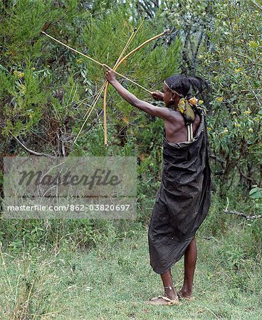 Un initié de Samburu s'attaque à un oiseau avec une flèche émoussée.Même si leurs blessures guérissent pendant un mois après la circoncision, initiés passent leur temps à errer dans la campagne de tenter de tuer autant d'oiseaux car ils peuvent émousser avec un club et quatre flèches. Quand un oiseau est tué, il est à la peau sans un couteau, farci aux herbes sèches et attaché à l'arceau de garçons au moyen de son bec.