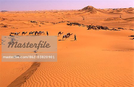 Niger, Tenere Desert.Camel caravane qui transitent par le Desert.This de montagnes & Tenere Air est la plus grande aire protégée en Afrique, couvrant plus de 7,7 millions d'hectares.