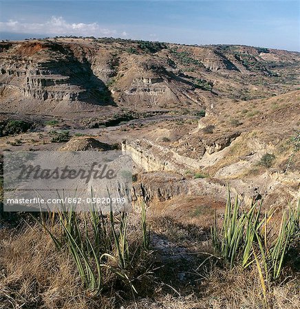 A part of the Olduvai Gorge, famous for its  fossil records of human origins.Named by the Maasai Oldupai after the wild sisal plant, Sansevieria, Olduvai displays a unique evolutionary trail spanning ten million years.