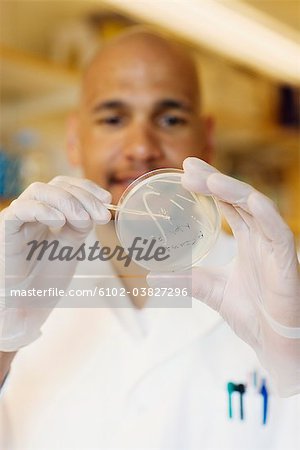 A male researcher in a laboratory, Sweden.