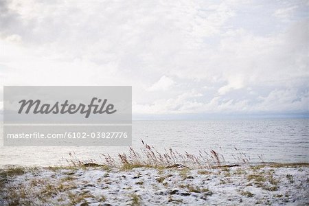 Snow on a beach, Gotland, Sweden.