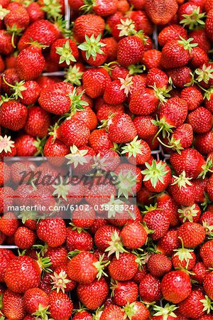 Strawberries, close-up, Sweden.
