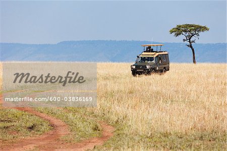 Safari Fahrzeug, Masai Mara National Reserve, Narok District, Provinz Rift Valley in Kenia