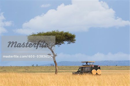 Safari véhicule, Masai Mara National Reserve, District de Narok, Province de la vallée du Rift, au Kenya