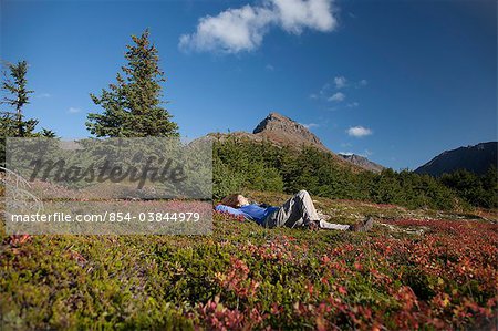 Frau Wanderer ausruhen und genießen der Aussicht im Bereich Glen Alpen des Chugach State Park, Hidden Lake und die Rampe Trail, Chugach Mountains, South Central Alaska, Herbst