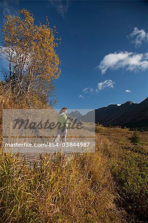 Woman hiker in Glen Alps area of Chugach State Park hiking on the Williwaw Lakes and Ballpark trail,  Chugach Mountains, Southcentral Alaska, Autumn