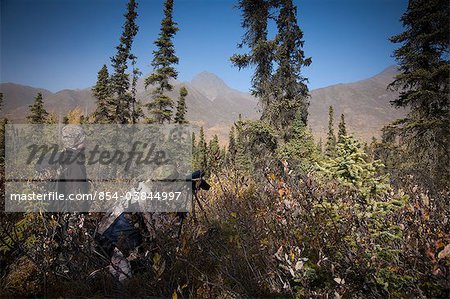 Male bow hunter and son use a spotting scope to look for moose while hunting, Eklutna Lake area, Chugach State Park, Southcentral Alaska, Autumn