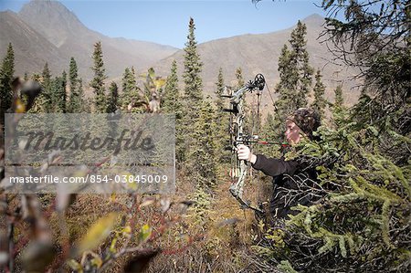 Young boy aims with a compound bow while bow hunting in a Black Spruce forest in the Eklutna Lake area, Chugach Mountains, Chugach State Park, Southcentral Alaska, Autumn