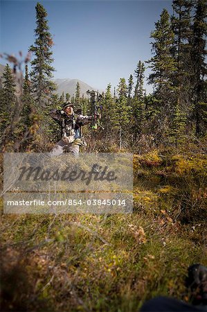 Male bow hunter aims with a compound bow while bow hunting in a Black Spruce forest in the Eklutna Lake area, Chugach Mountains, Chugach State Park, Southcentral Alaska, Autumn