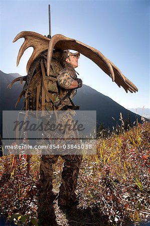 Elch Jäger trägt ein großer Elch Geweih Rack, als er von seiner Jagd im Bereich Entwässerung Bird Creek, Chugach National Forest, Chugach Berge, South Central Alaska, Herbst, Wanderungen