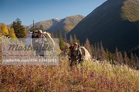 Two male moose hunters carry their trophy moose antlers as they hike out from his hunt in the Bird Creek drainage area, Chugach National Forest, Chugach Mountains, Southcentral Alaska, Autumn