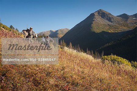 Zwei männliche Elch Jäger tragen ihre Trophäe Elch Geweih als Wandern sie heraus von seiner Jagd im Bereich Entwässerung Bird Creek, Chugach National Forest, Chugach Berge, South Central Alaska, Herbst