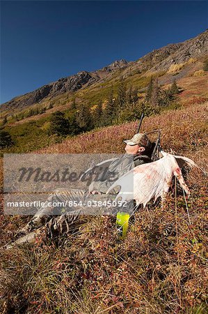 Male moose hunter rests on a sunny mountainside with his trophy moose antler rack in the Bird Creek drainage area, Chugach Mountains, Chugach National Forest, Southcentral Alaska, Autumn