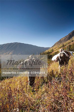 Two male moose hunters hike down a sunny mountainside with their trophy moose antler racks, Bird Creek drainage area, Chugach Mountains, Chugach National Forest, Southcentral Alaska, Autumn