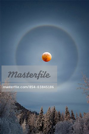 View of a perfect halo encompassing the moon during a rare winter lunar eclipse on December 20th, 2010, Girdwood, Southcentral Alaska, Composite